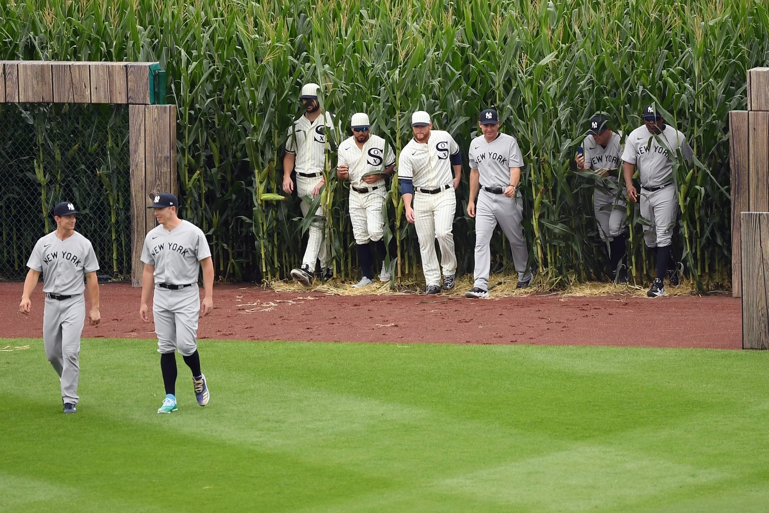 Baseball Fans at Field of Dreams